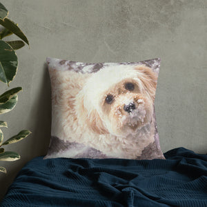 Snowy Cavachon Puppy Premium Pillow